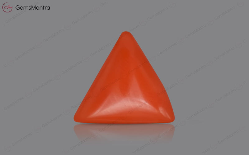 Red Coral - 3.52 Carats