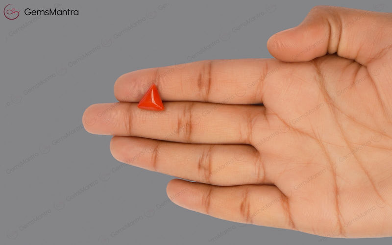 Red Coral - 3.52 Carats