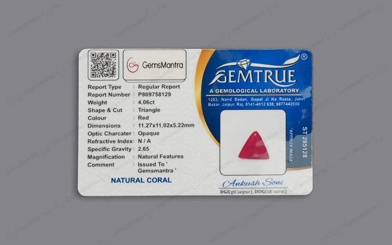 Red Coral - 4.06 Carats