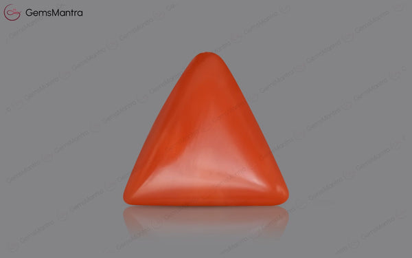 Red Coral - 4.06 Carats