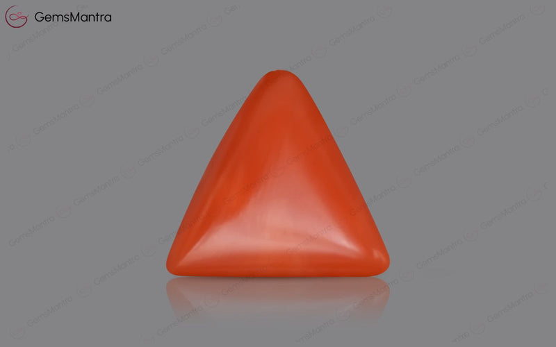 Red Coral - 4.06 Carats