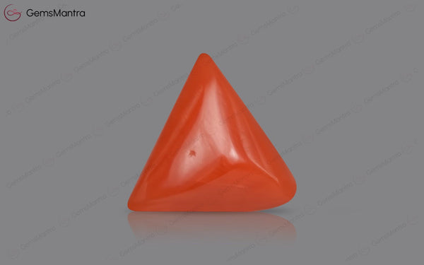 Red Coral - 4.04 Carats