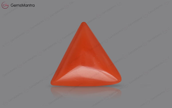 Red Coral - 4.04 Carats