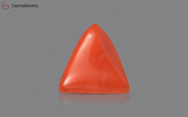 Red Coral - 4.06 Carats