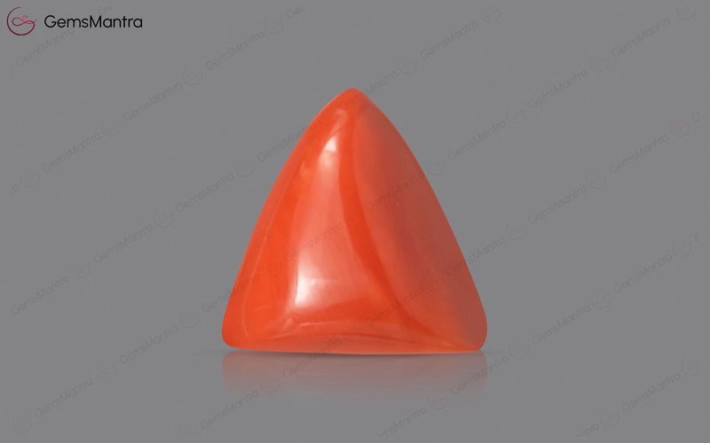 Red Coral - 4.06 Carats