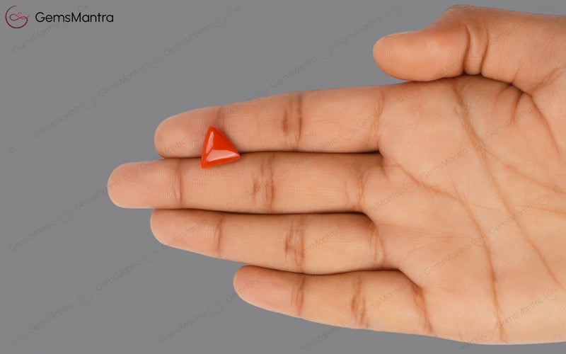 Red Coral - 4.06 Carats