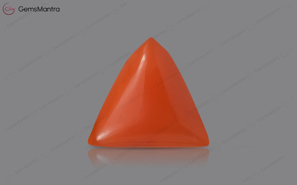 Red Coral - 4.15 Carats