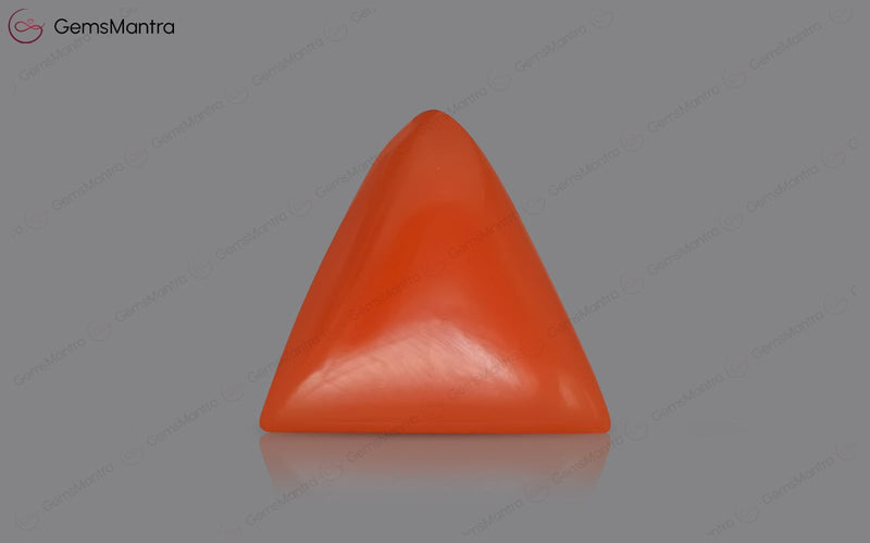 Red Coral - 4.15 Carats