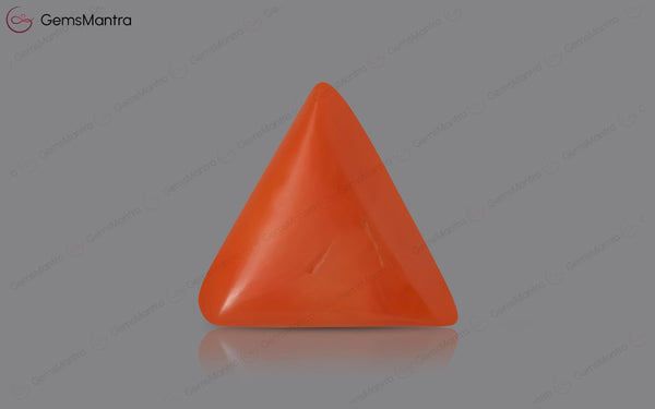 Red Coral - 4.07 Carats