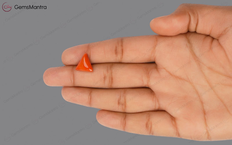 Red Coral - 4.07 Carats