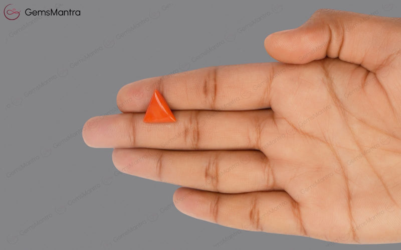 Red Coral - 4.73 Carats