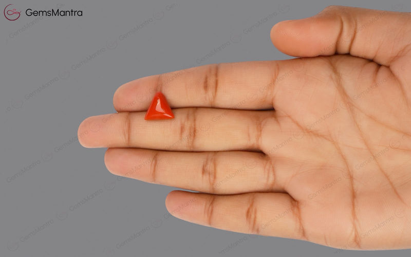 Red Coral - 4 Carats