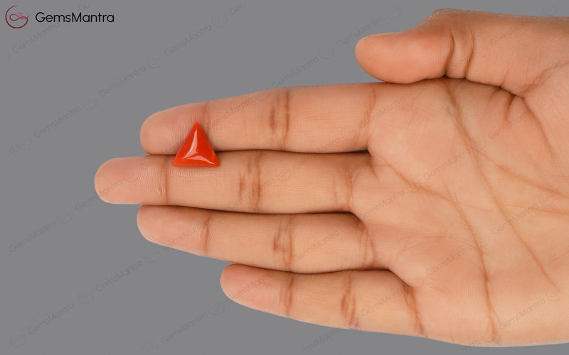 Red Coral - 4.49 Carats