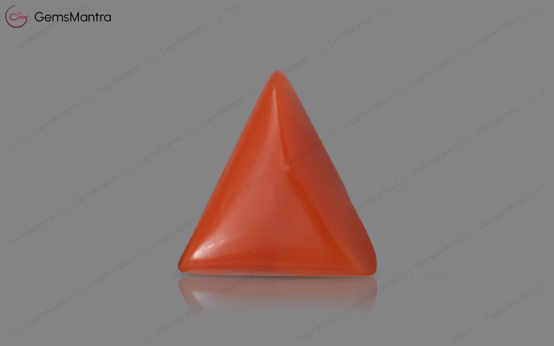 Red Coral - 4.49 Carats