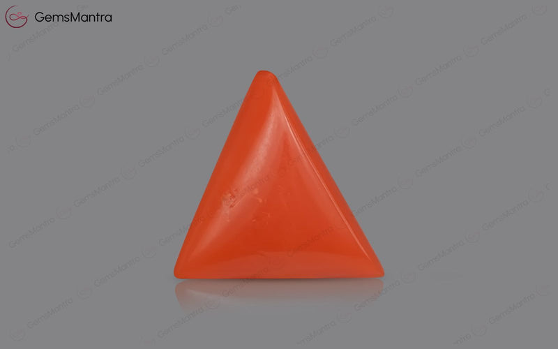 Red Coral - 4.87 Carats