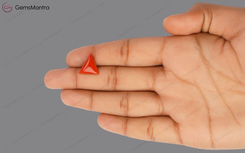 Red Coral - 4.87 Carats