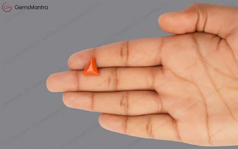 Red Coral - 4.88 Carats