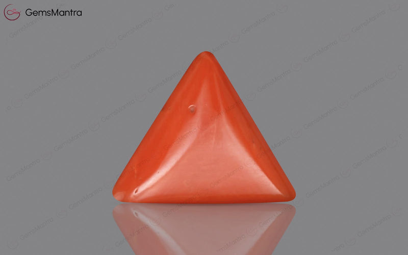 Red Coral - 4.88 Carats