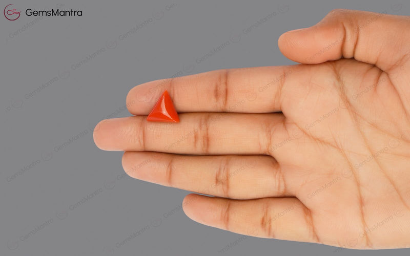 Red Coral - 4.88 Carats