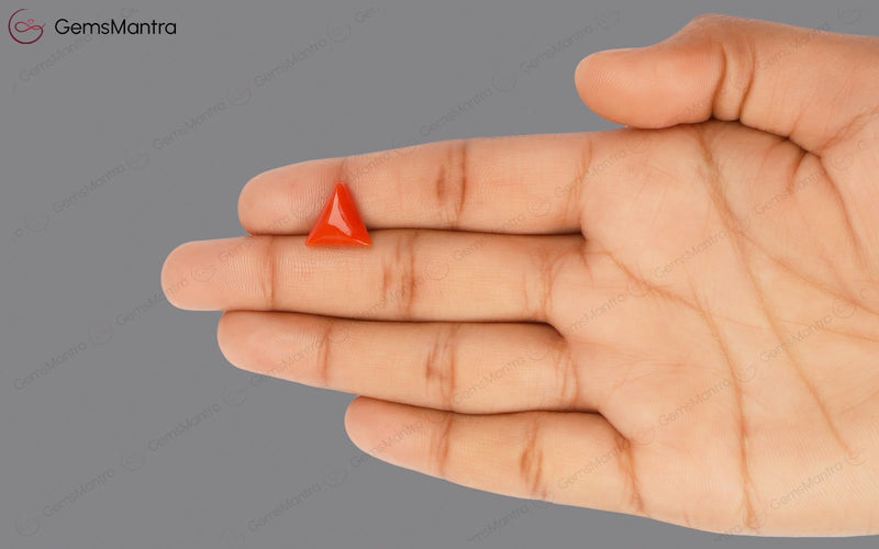 Red Coral - 4.4 Carats