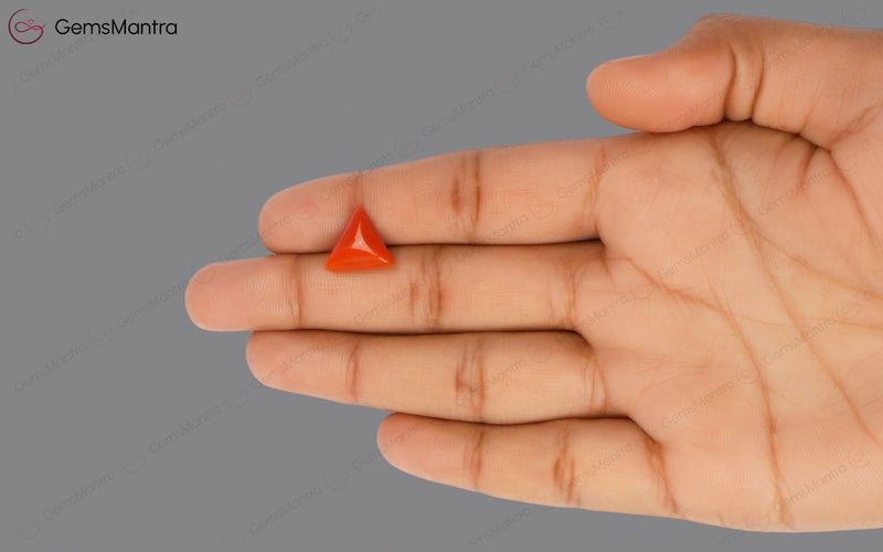 Red Coral - 4.38 Carats