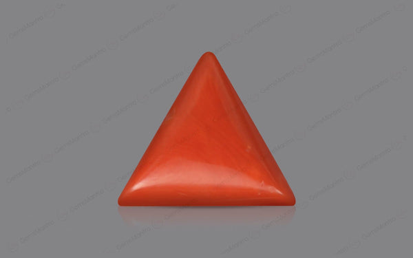 Red Coral - 4.82 Carats