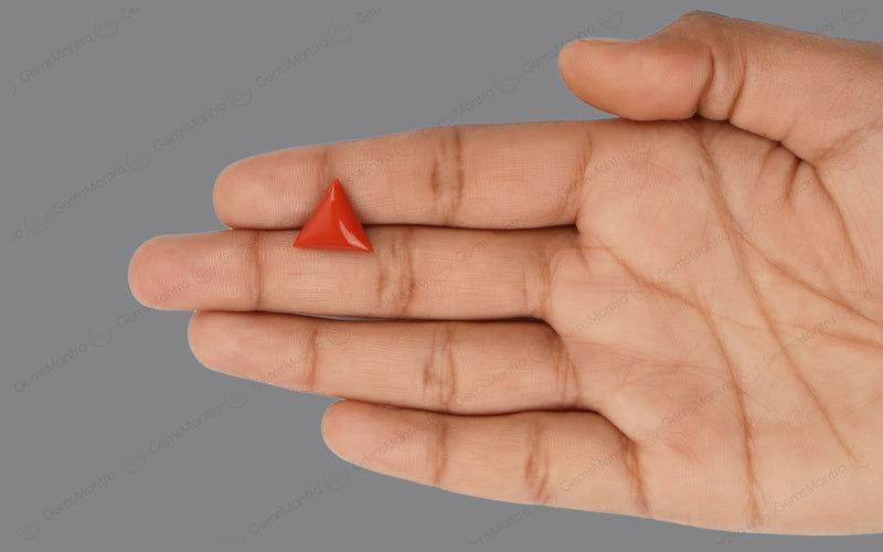 Red Coral - 4.82 Carats