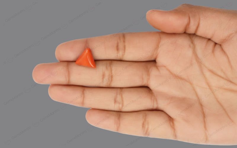 Red Coral - 5.29 Carats