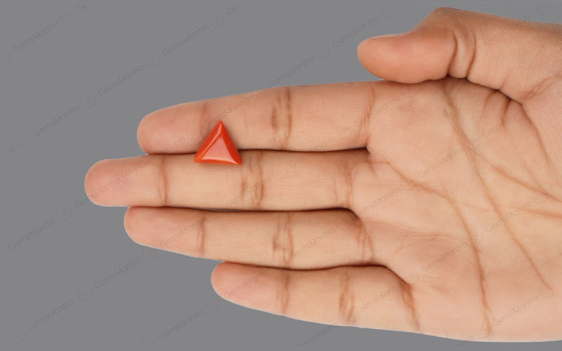 Red Coral - 5.22 Carats