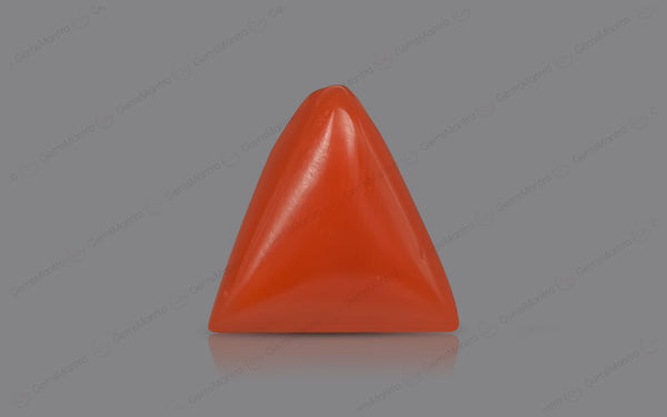 Red Coral - 5.29 Carats