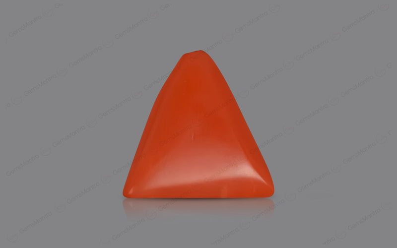 Red Coral - 5.29 Carats