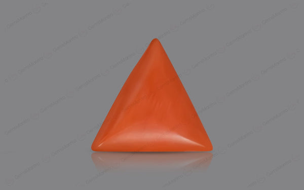 Red Coral - 5.42 Carats