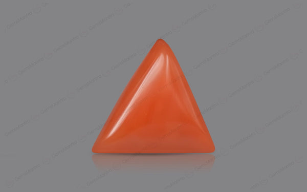 Red Coral - 5.42 Carats