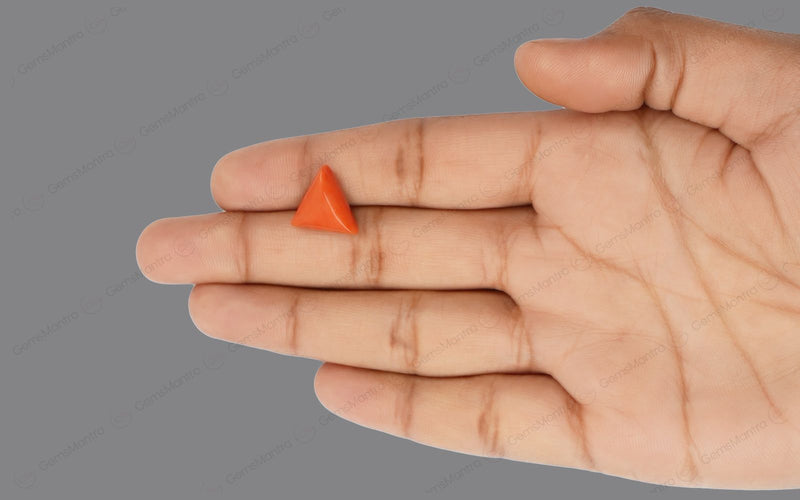 Red Coral - 5.42 Carats