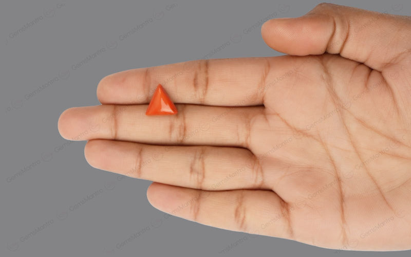 Red Coral - 5 Carats