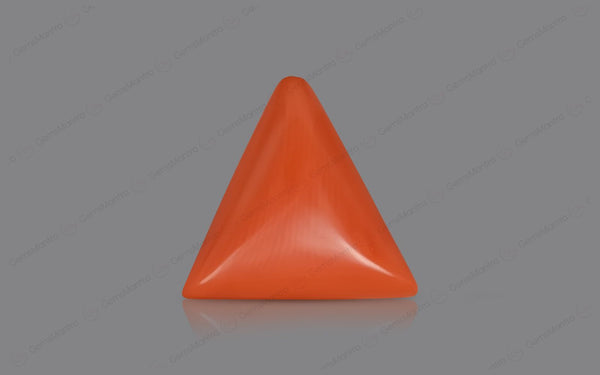 Red Coral - 5.06 Carats