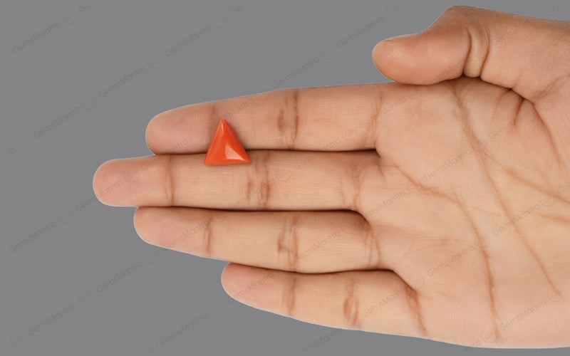 Red Coral - 5.06 Carats