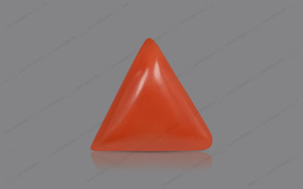 Red Coral - 4.65 Carats