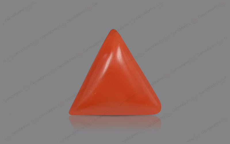 Red Coral - 4.65 Carats