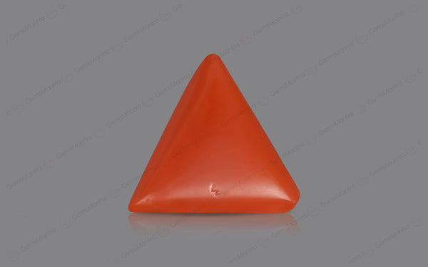 Red Coral - 4.65 Carats