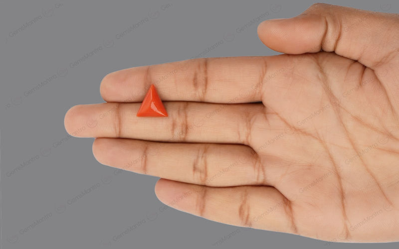 Red Coral - 4.45 Carats