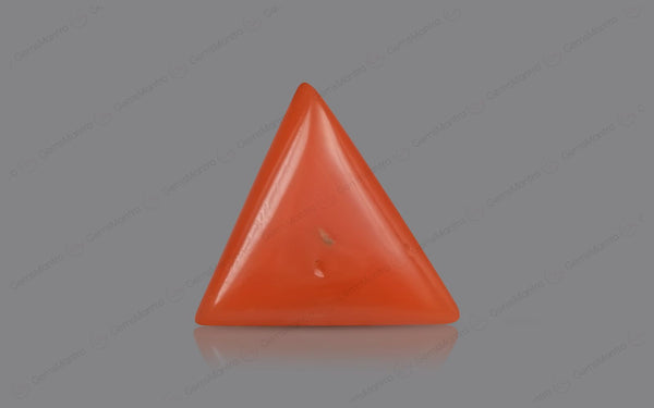 Red Coral - 4.71 Carats