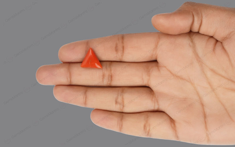 Red Coral - 4.71 Carats