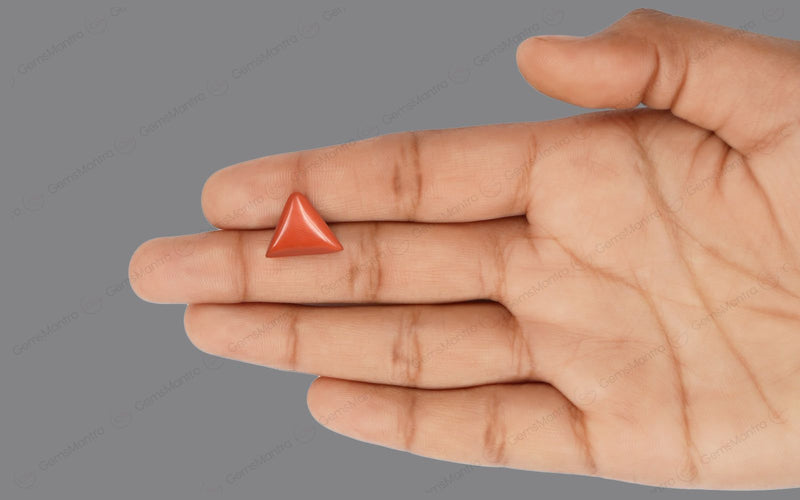 Red Coral - 4.92 Carats