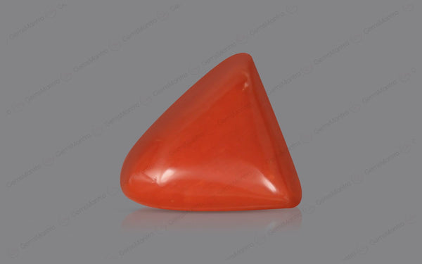 Red Coral - 4.76 Carats
