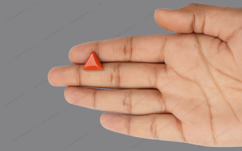 Red Coral - 4.32 Carats