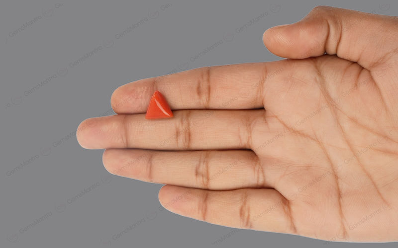 Red Coral - 4.54 Carats