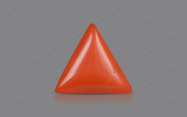 Red Coral - 5.08 Carats