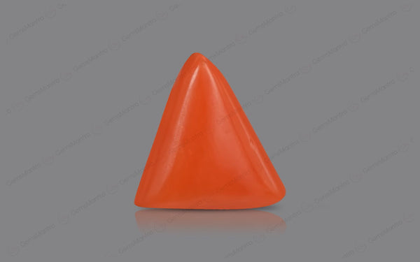 Red Coral - 5.27 Carats