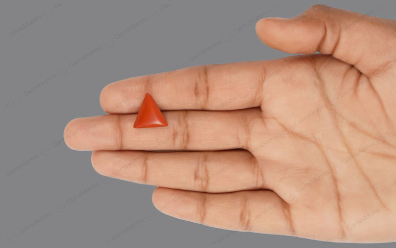 Red Coral - 5.12 Carats